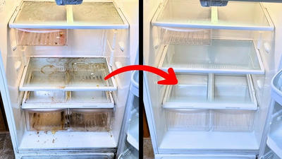 How to Deep Clean Your Refrigerator for Peak Performance